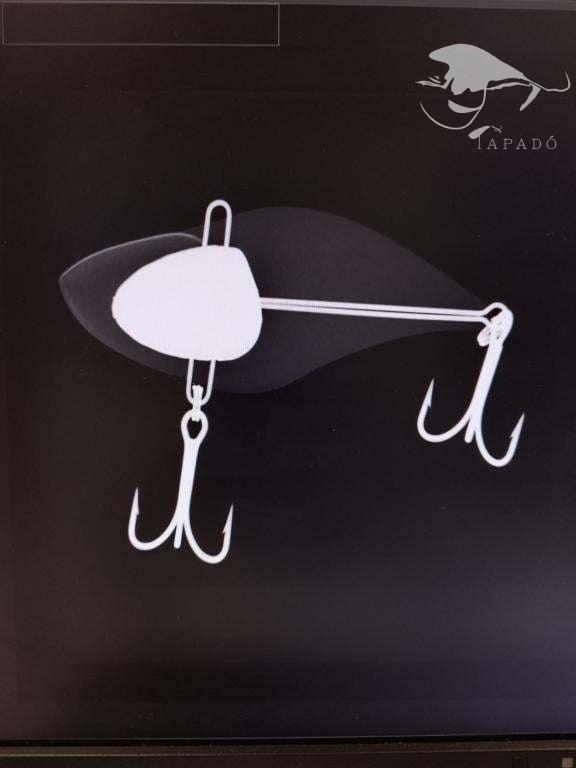 Wobler Tapadó Druid cikáda na candáty